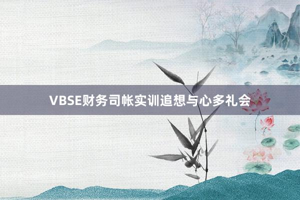 VBSE财务司帐实训追想与心多礼会