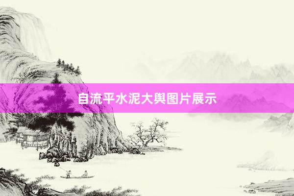 自流平水泥大舆图片展示