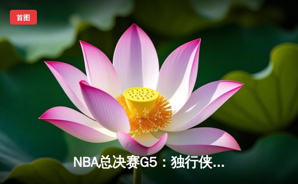 NBA总决赛G5：独行侠加时逆转凯尔特人 东契奇44分创个人季后赛新高